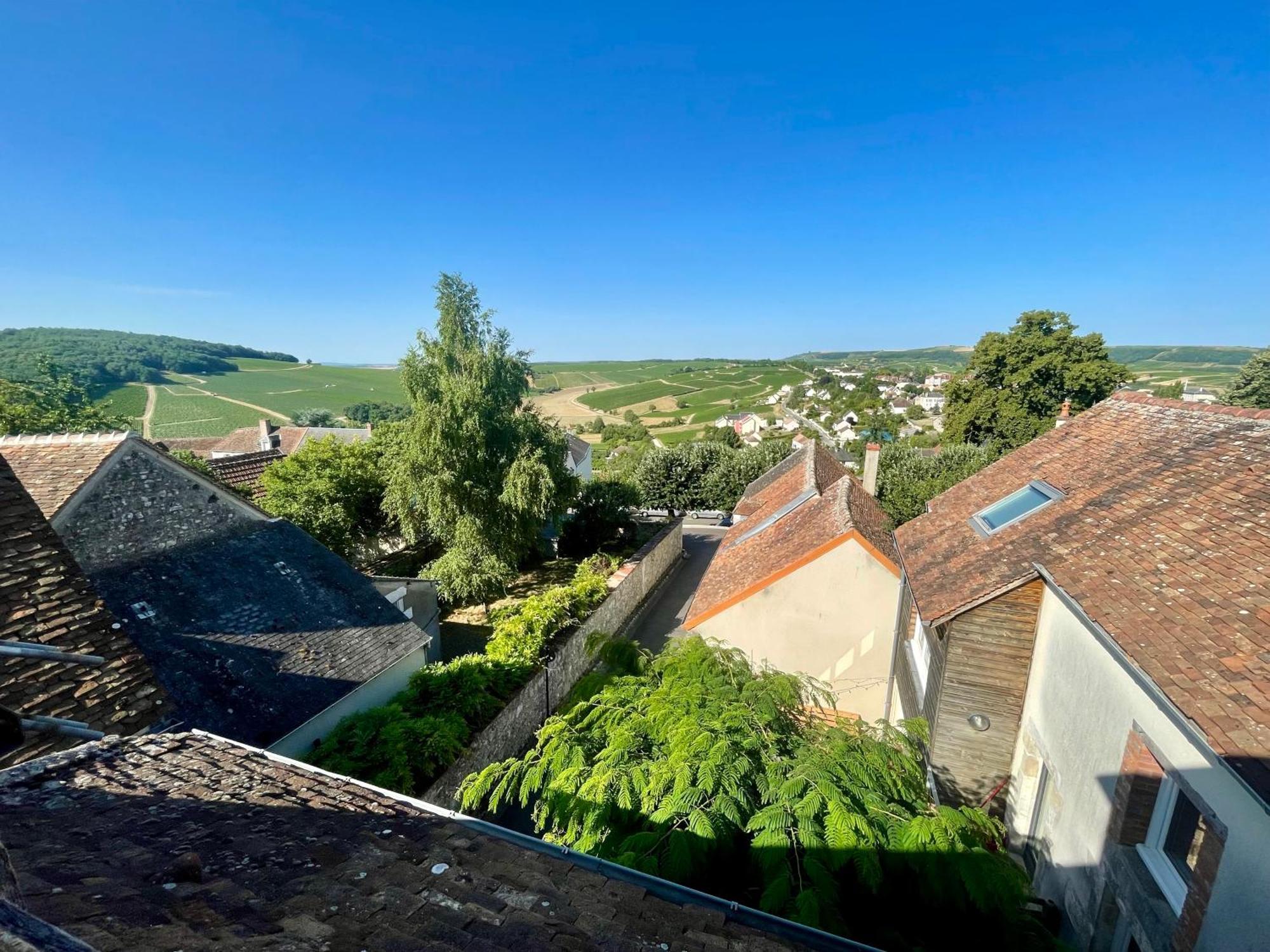 Appartement Cosy Vue Sur Le Vignoble Sancerre Exterior photo